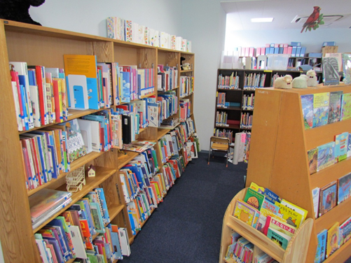 Primary Library 1